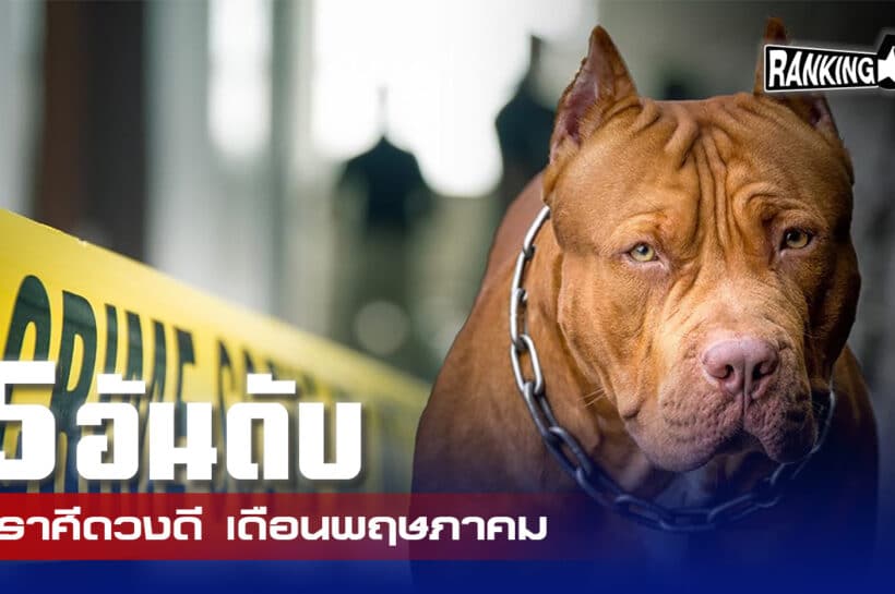 สุนัข