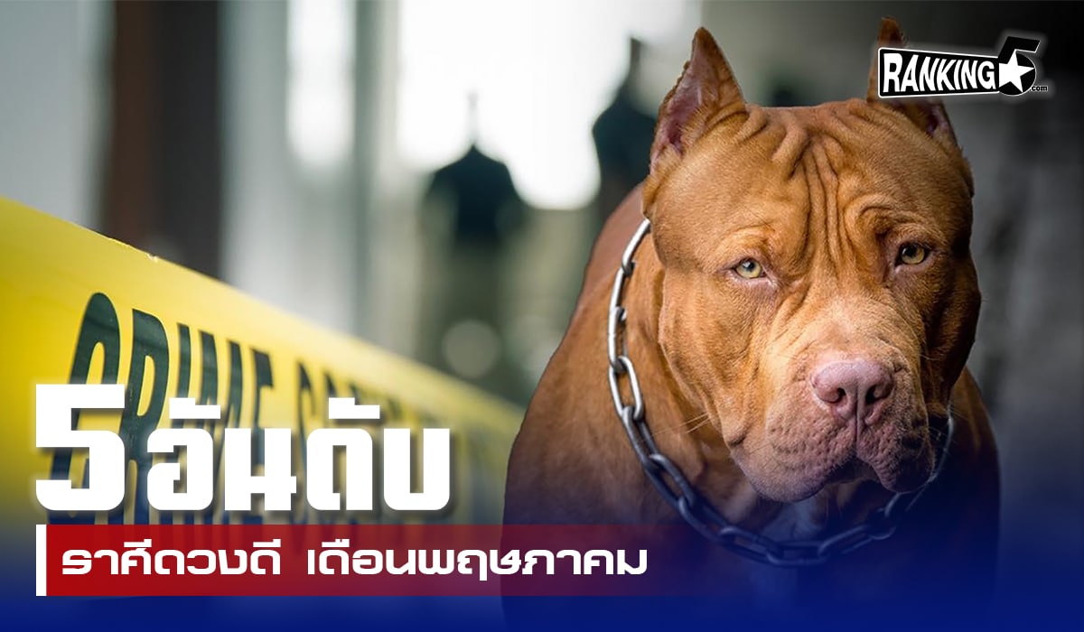 สุนัข