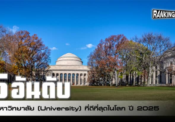 university