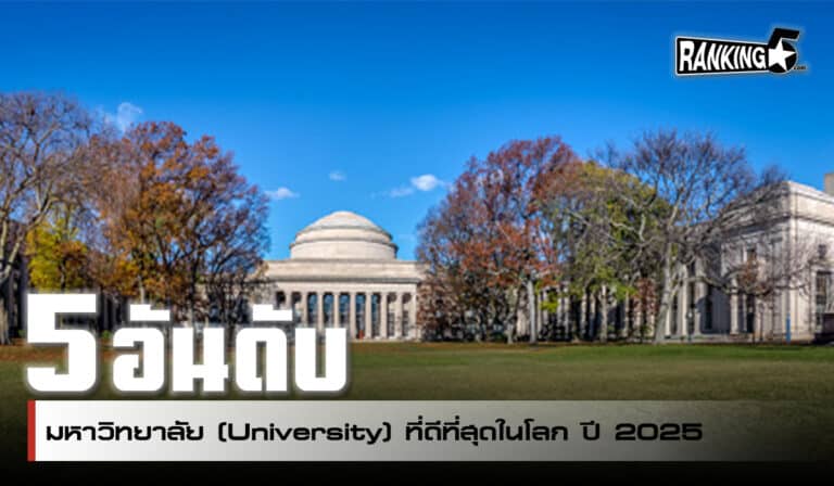 university
