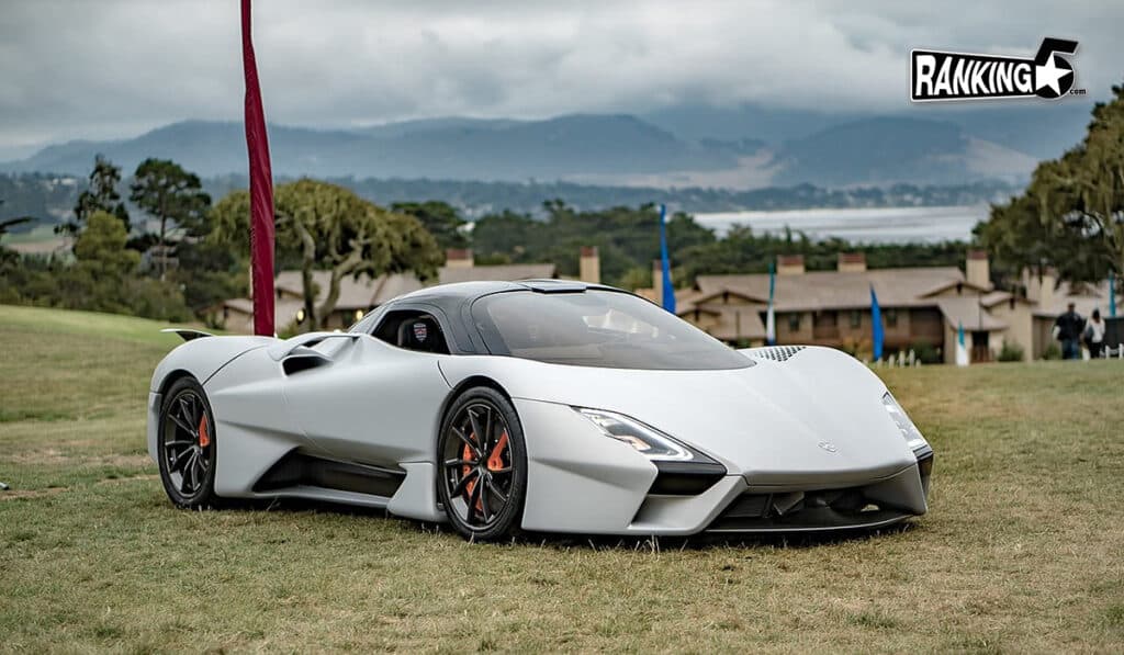 01-SSC_Tuatara_min