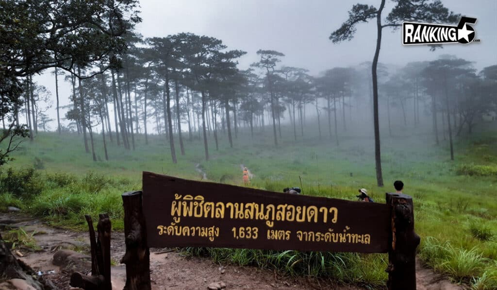 03-ดอยภูสอยดาว